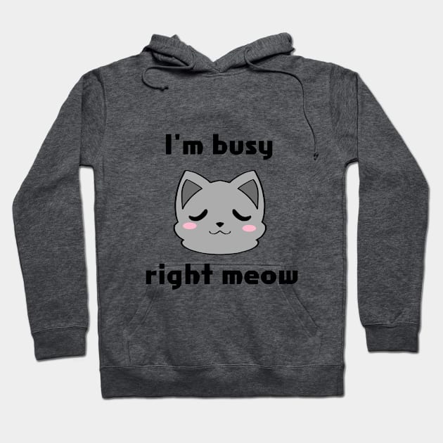 I'm Busy Right Meow Hoodie by Ashe Cloud